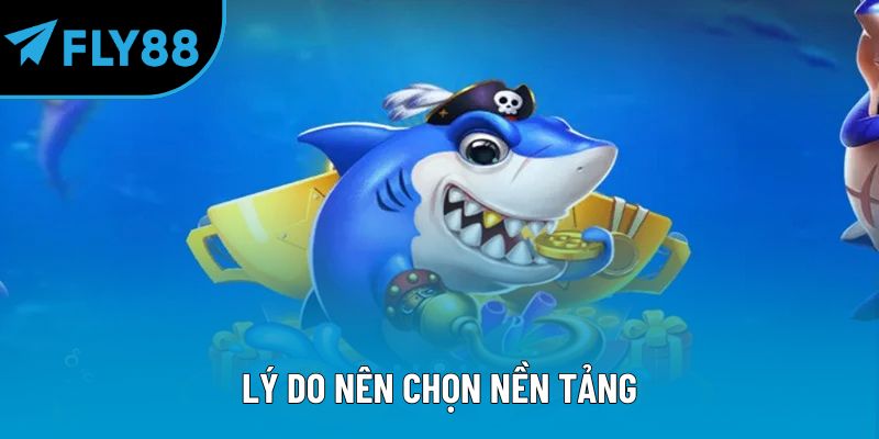 Lý do nên chọn nền tảng